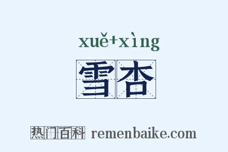雪杏是什么意思的图片
